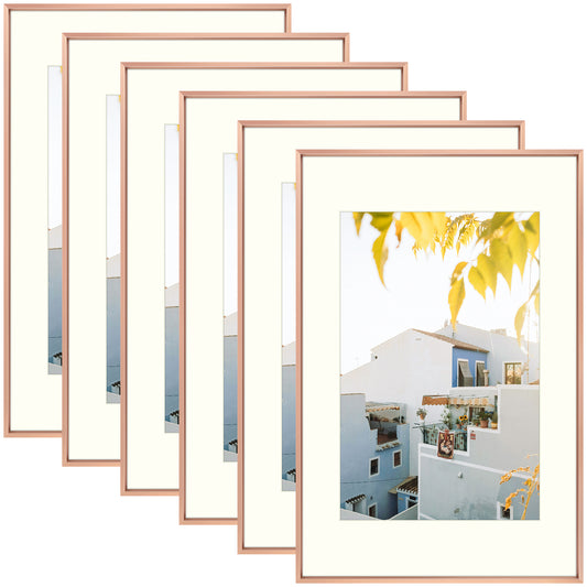 Clearance 16x24 Aluminum Picture Frame for 12x18 Photos with Ivory Mat-Pack of 6