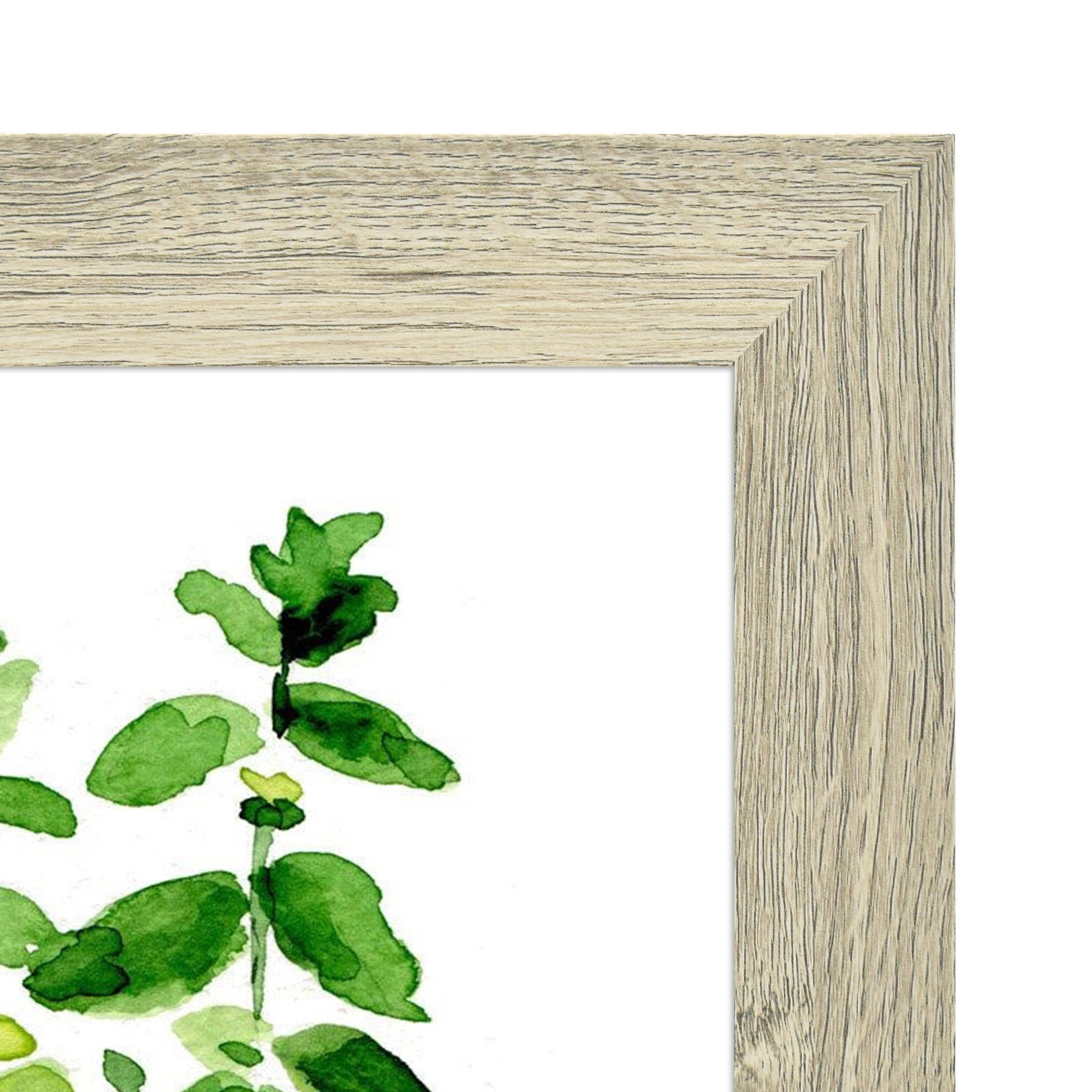 11x14 Picture Frame with Real Glass (10 Pack) Picture Frame GSA