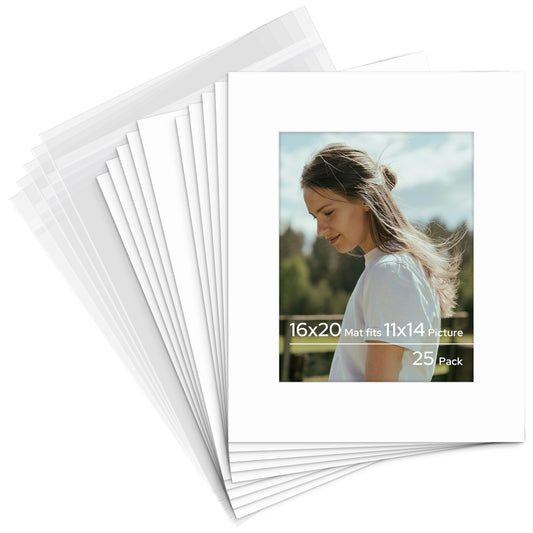16x20 Pre-cut Mat with Whitecore with Backing Board and Clear Bag