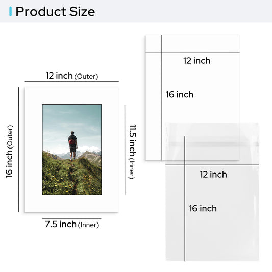 12x16 Pre-cut Mat with Blackcore fits 8x12 Picture with Backing Board and Clear Bag