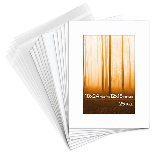 18x24 Pre-cut Mat with Whitecore with White Foam Board and Clear Bag