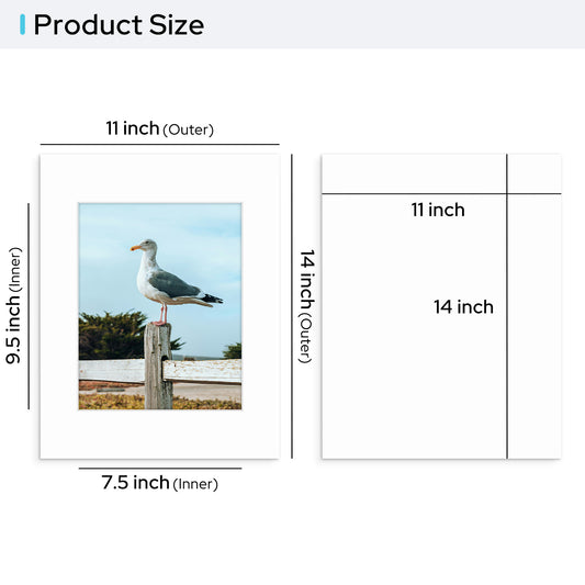 Pack of 25, 11x14 Custom Cut Conservation Archival Mat with Whitecore fits 8x10 Picture with Conservation Backing Board