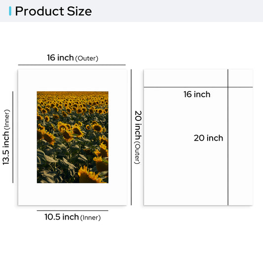 Pack of 25, 16x20 Custom Cut White Conservation Archival Mat with Whitecore fits 11x14 Picture with Conservation Backing Board