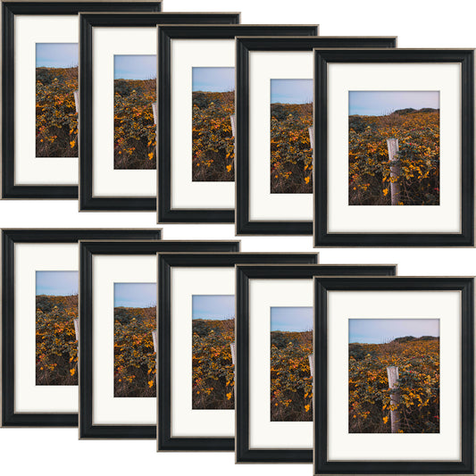 Ornate Picture frame with Mat and Real Glass,Silver-beige With Black-dark Brown Inner Panel, Pack of 10