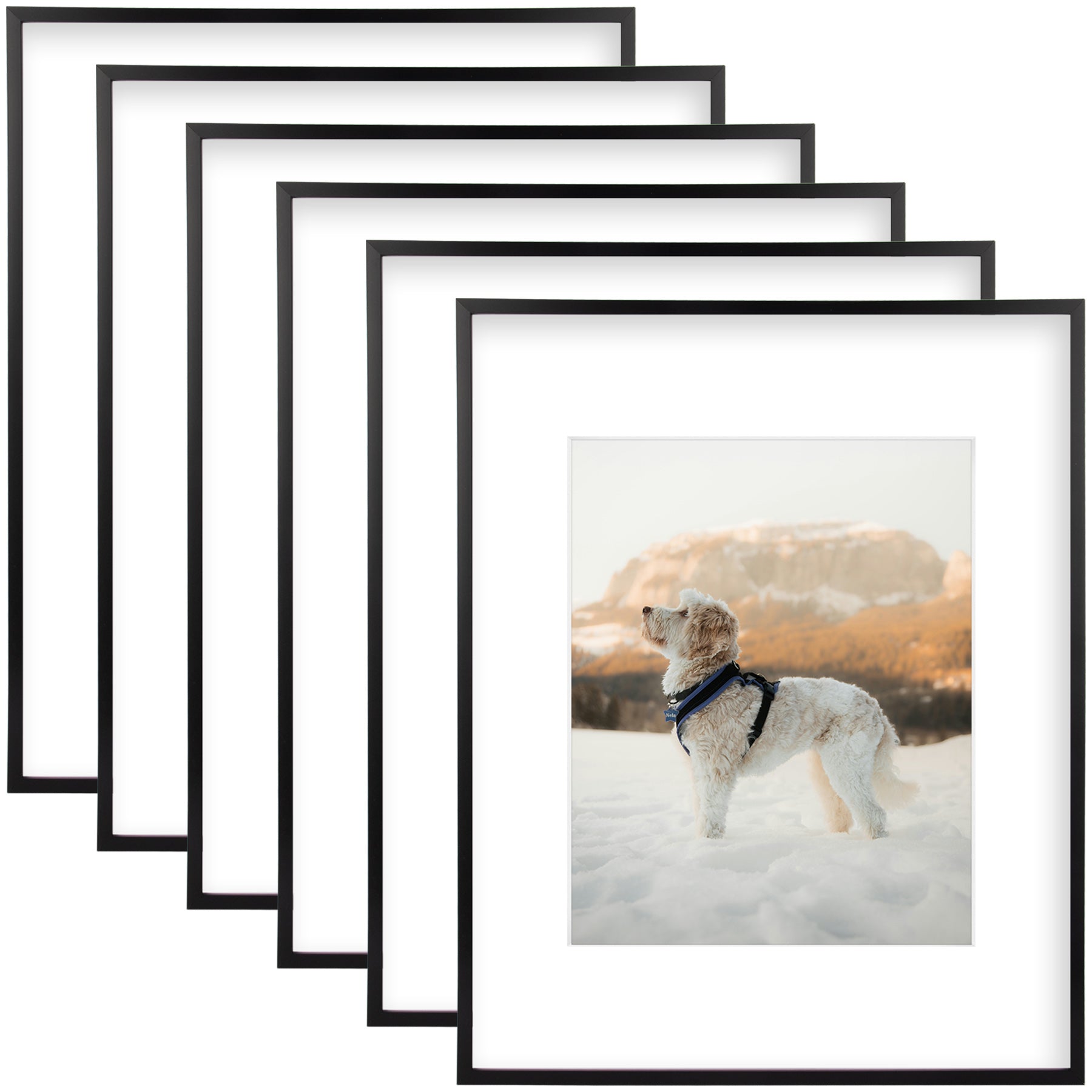 6 Pack/16x20 Matted to 11x14/Black