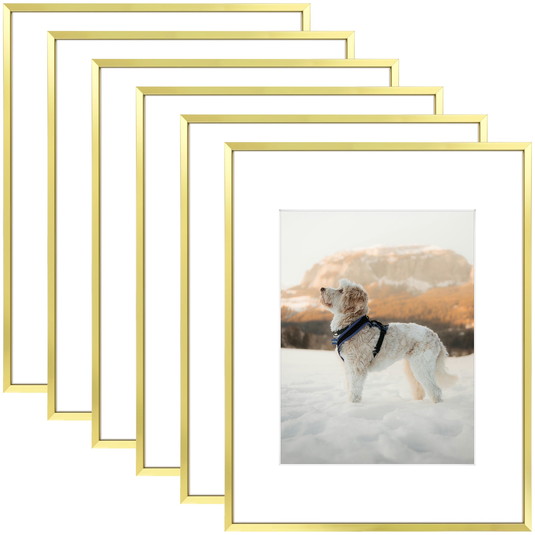 6 Pack/16x20 Matted to 11x14/Gold