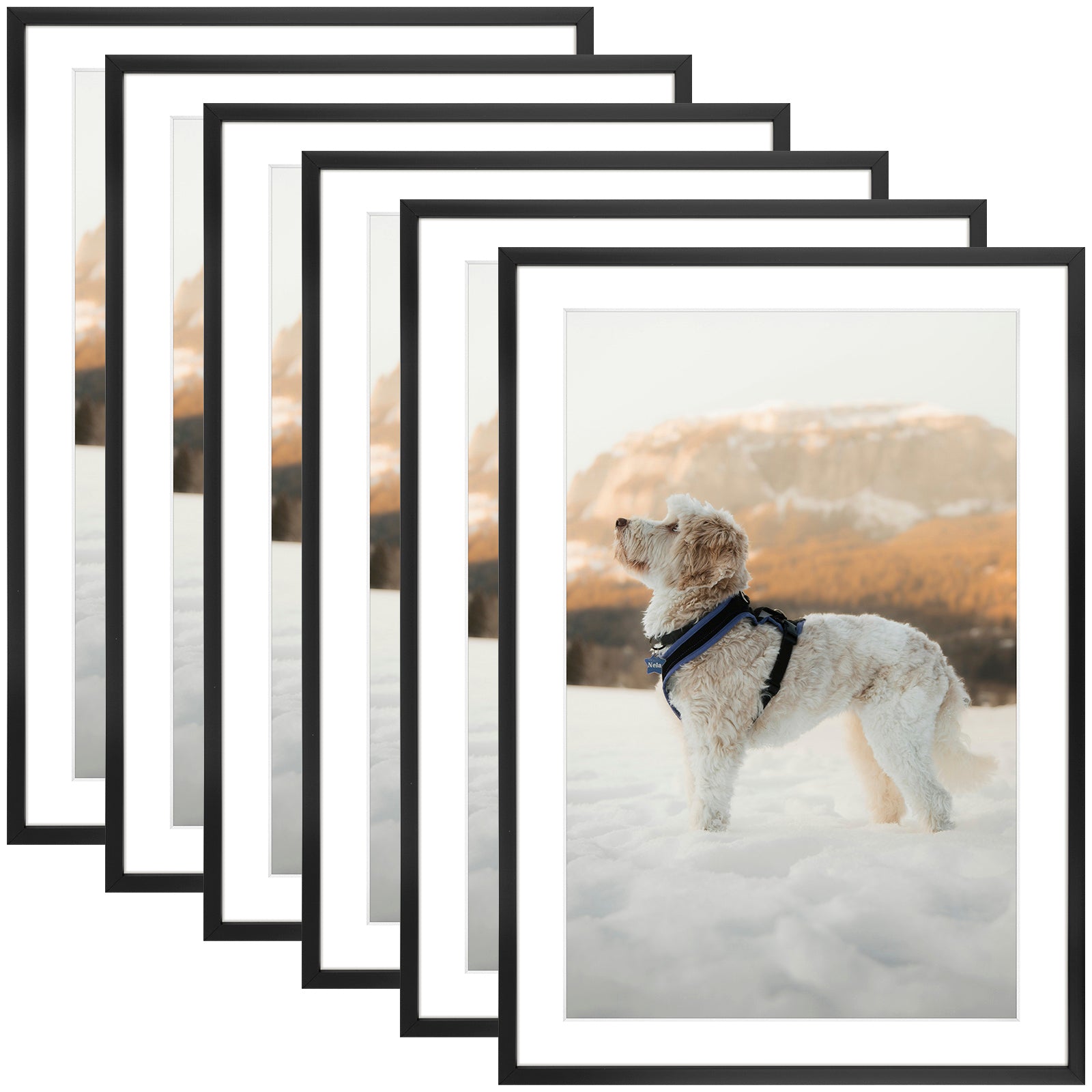 6 Pack/13x19 Matted to 11x17/Black