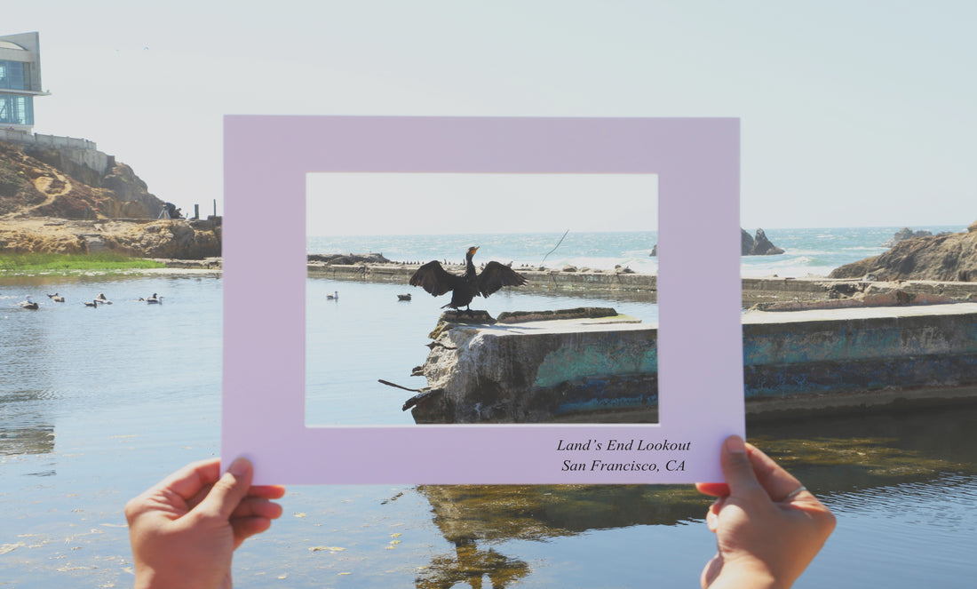 The Traveling Mat: Spreading Our Wings at Land's End Lookout