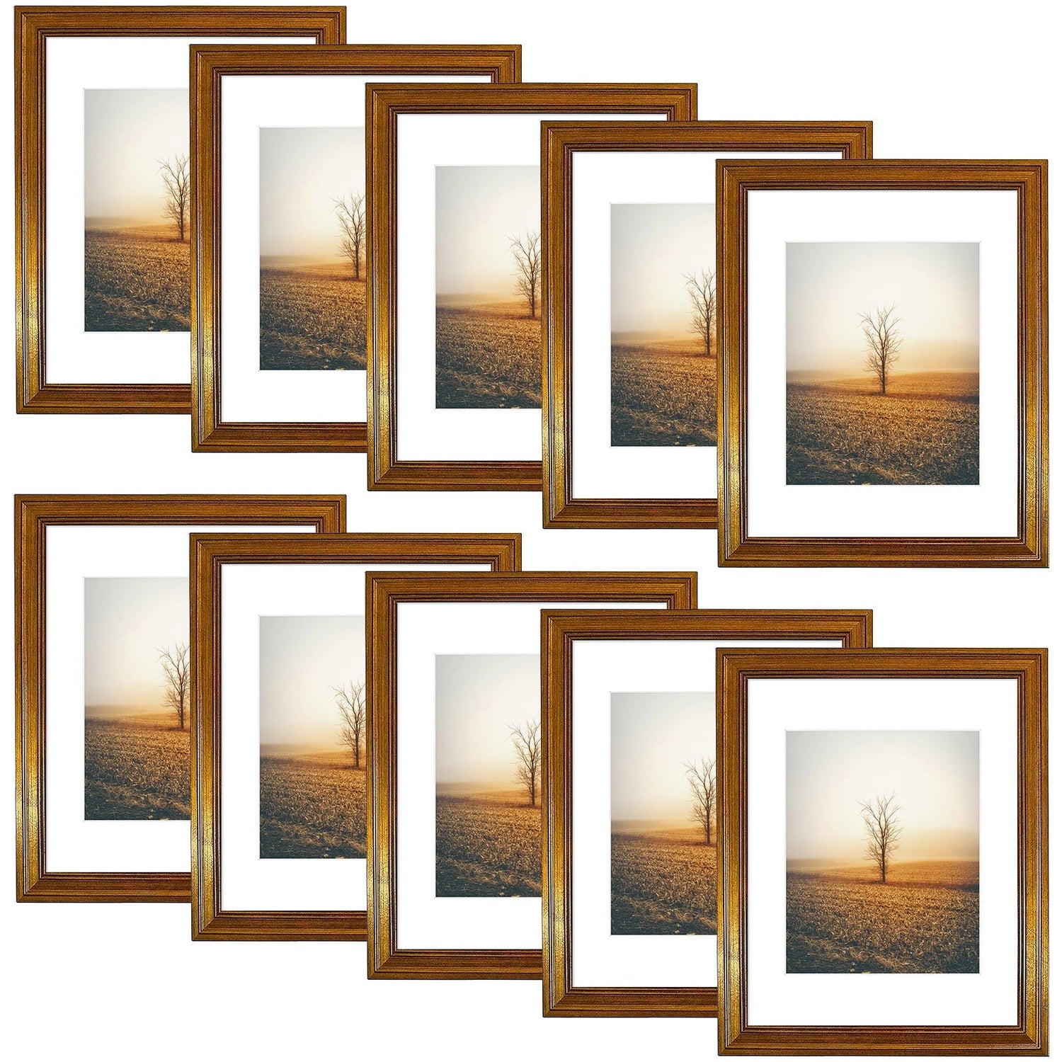 8x10 Picture Polystyrene Frames