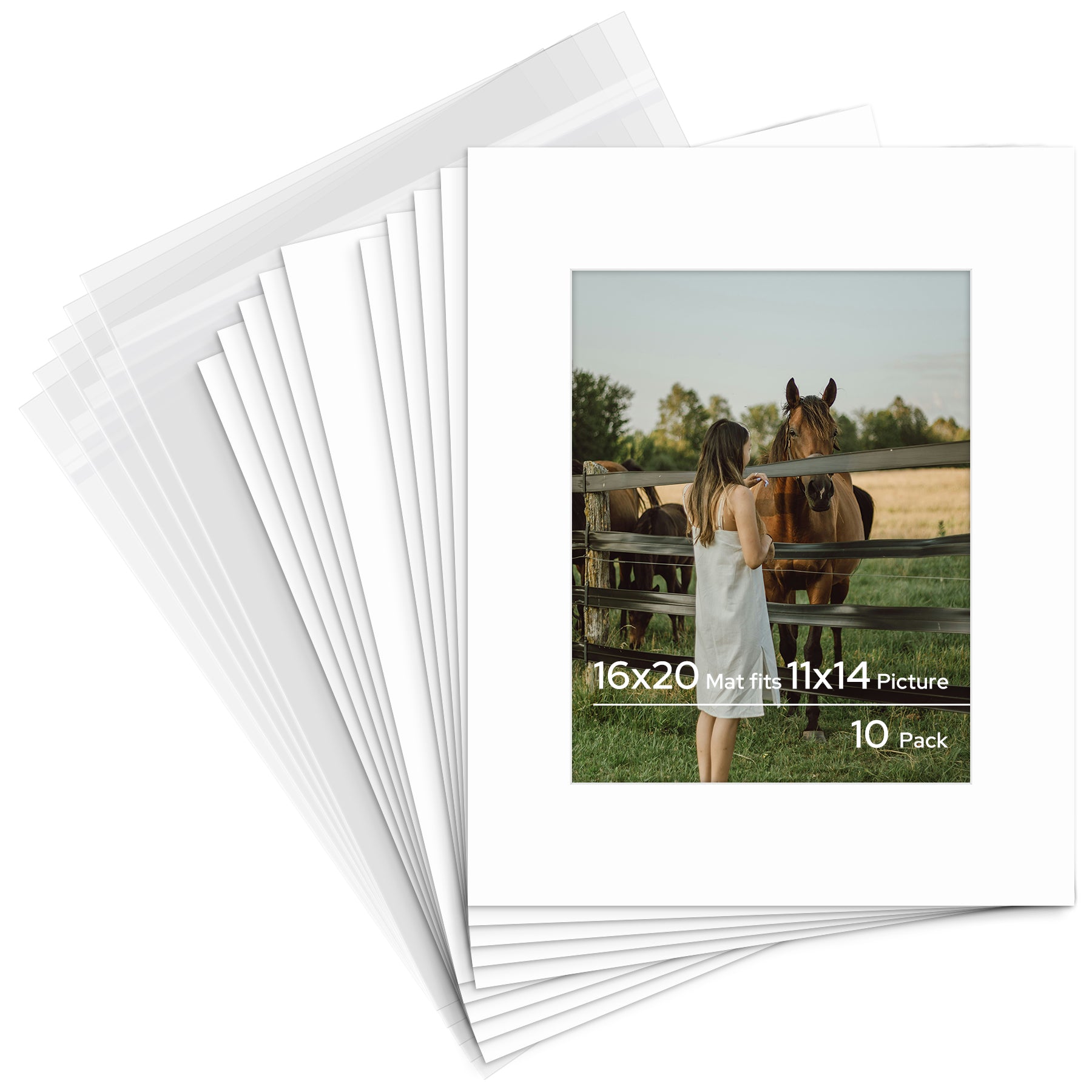 16x20 Pre-cut Mat with Whitecore with Backing Board and Clear Bag 10 Pack 11x14 White #501 Mat Boards Golden State Art