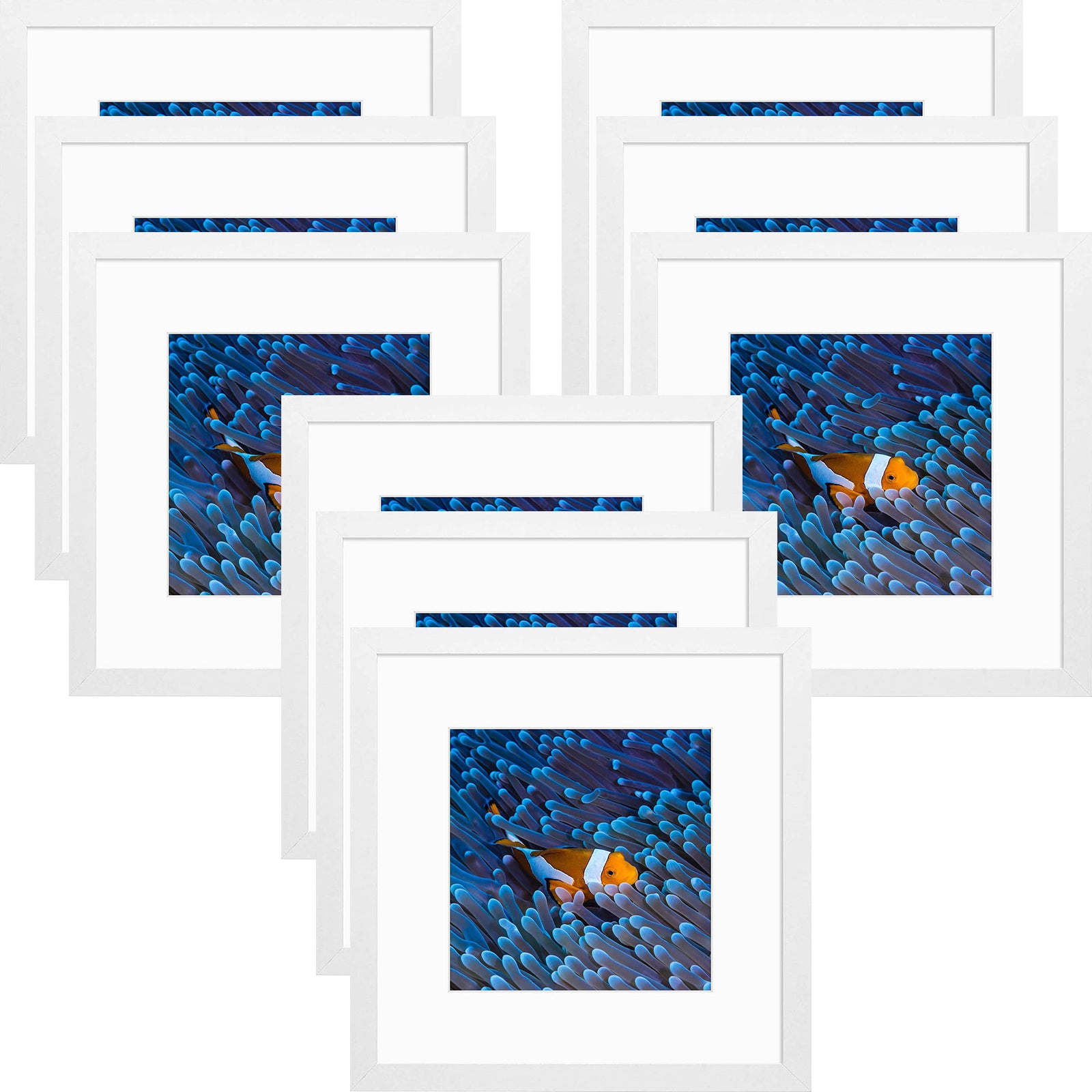 12x12 Black MDF Frame 0.71 Inch for 8x8 Picture with White Mat- Pack of 9 White Picture Frames Golden State Art