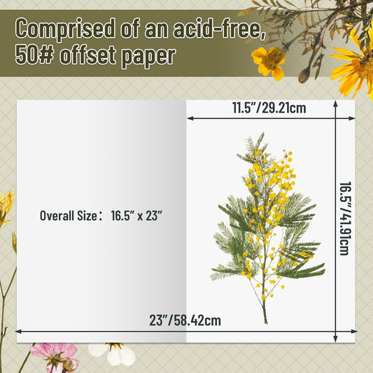 Lineco Acid-Free Herbarium Specimen Newsprint Paper, Pack of 50