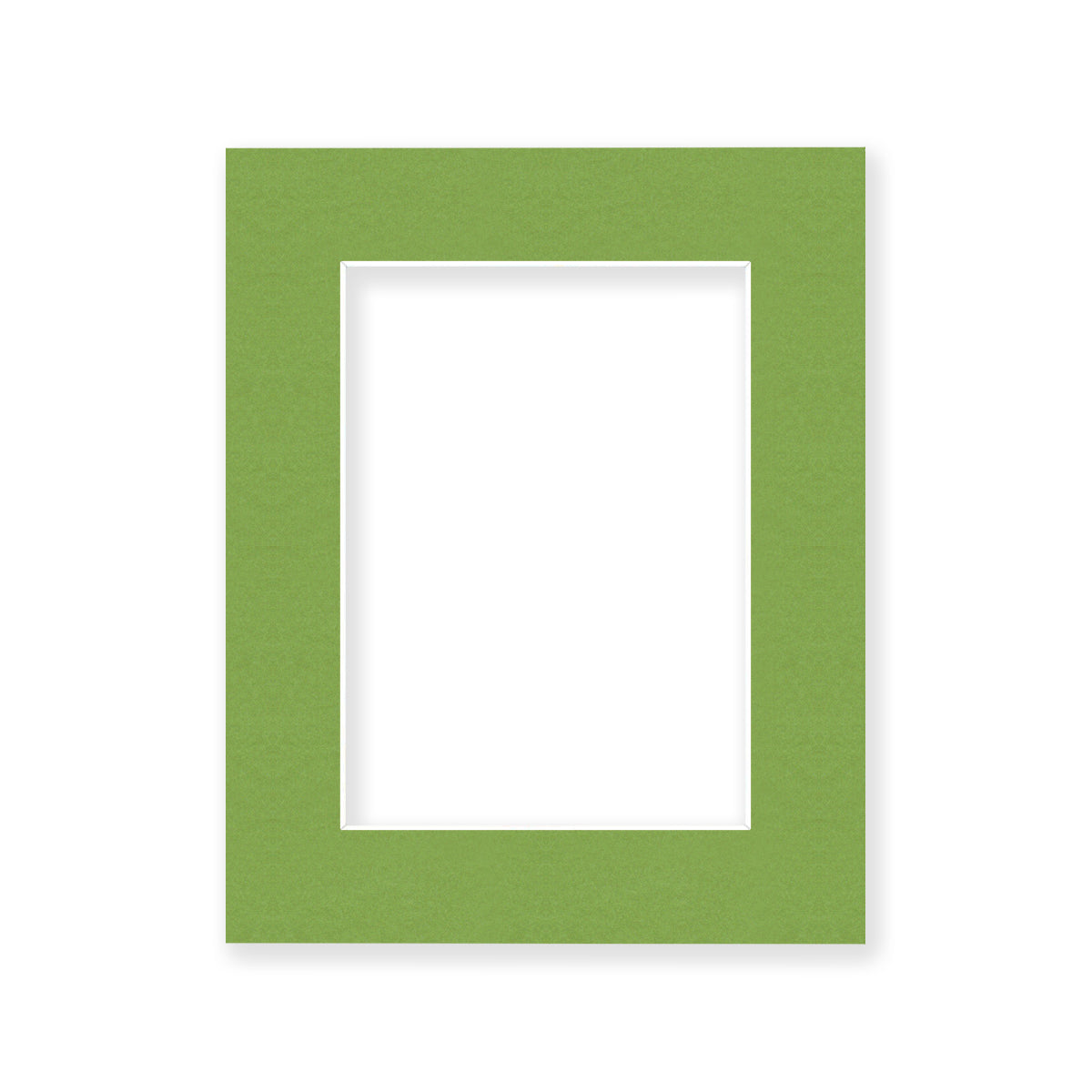 01 - 8x10 Pre-cut Matboard with Whitecore 4-PLY 5x7 Organic Green #163