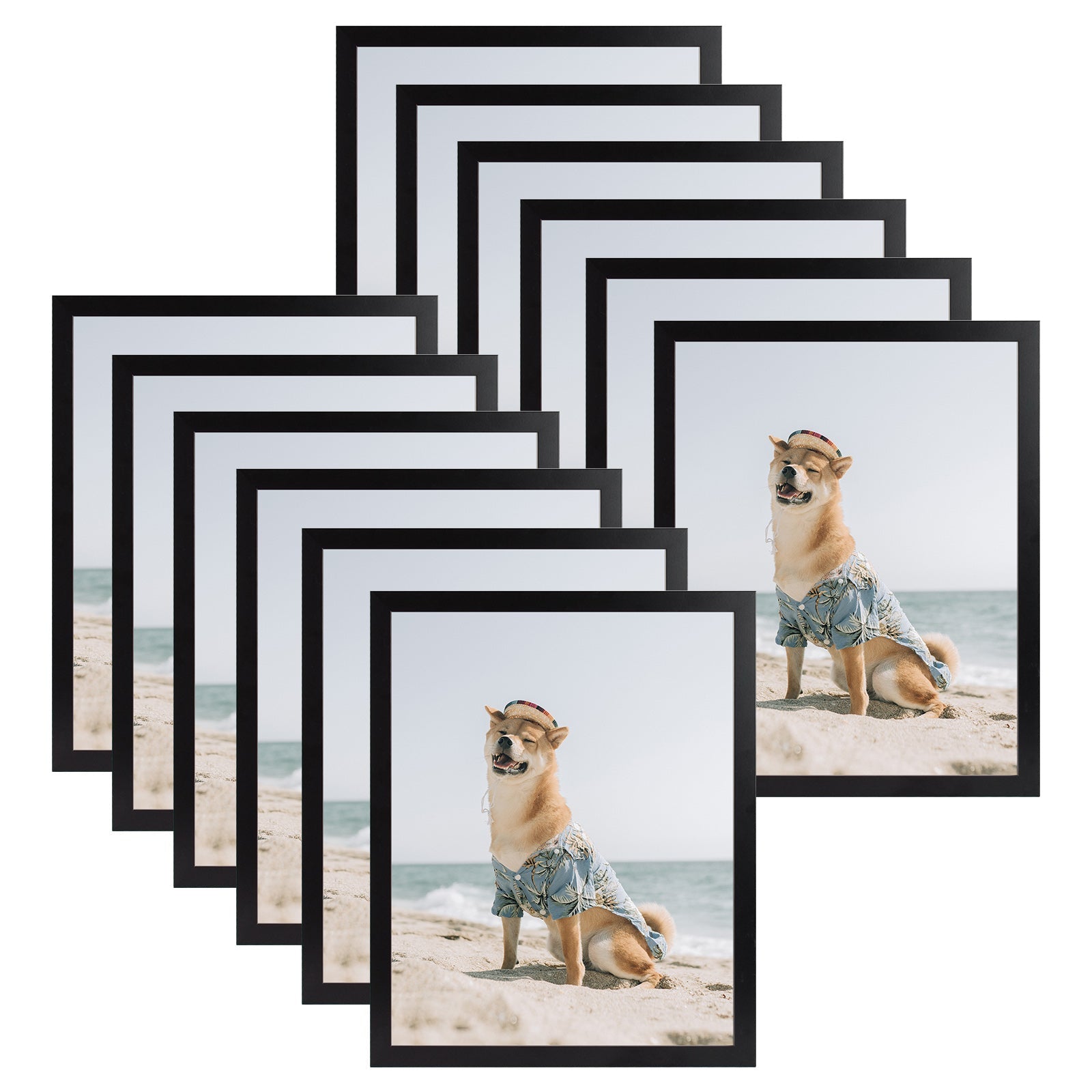 11x14 Picture Frame for 8x10 Photo with Ivory Mat and Real Glass (12 Pack) Picture Frame Golden State Art