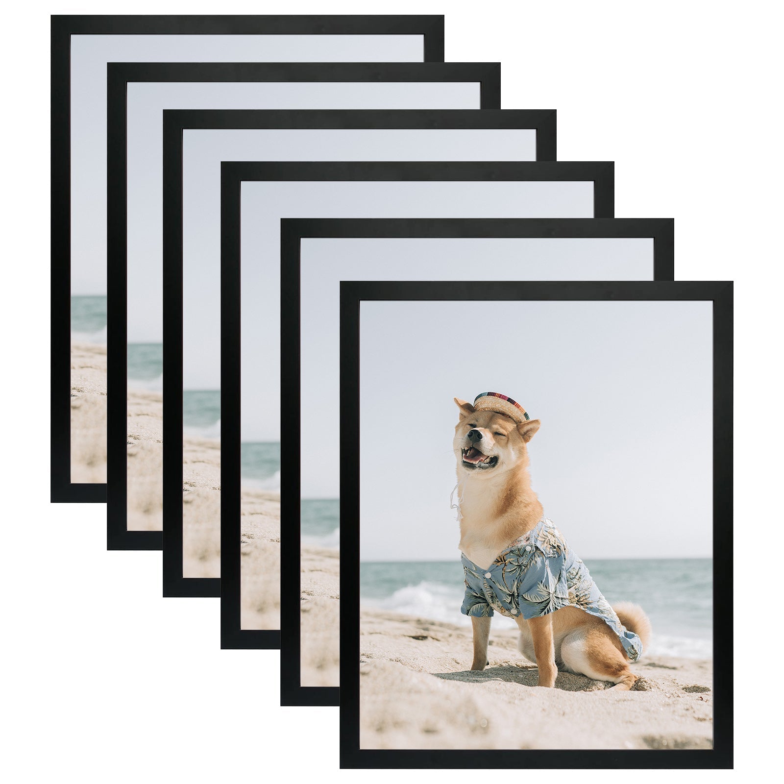 16x20 Picture Frame for 11x14 Photo with Ivory Mat and Real Glass (6 Pack) Black Picture Frame Golden State Art