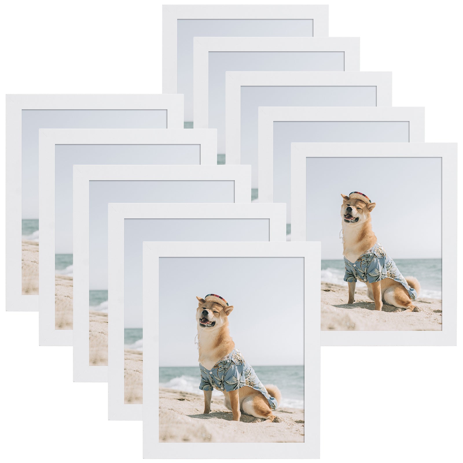 8x10 Picture Frame for 5x7 Photo with Ivory Mat and Real Glass (10 Pack) White Picture Frame GSA