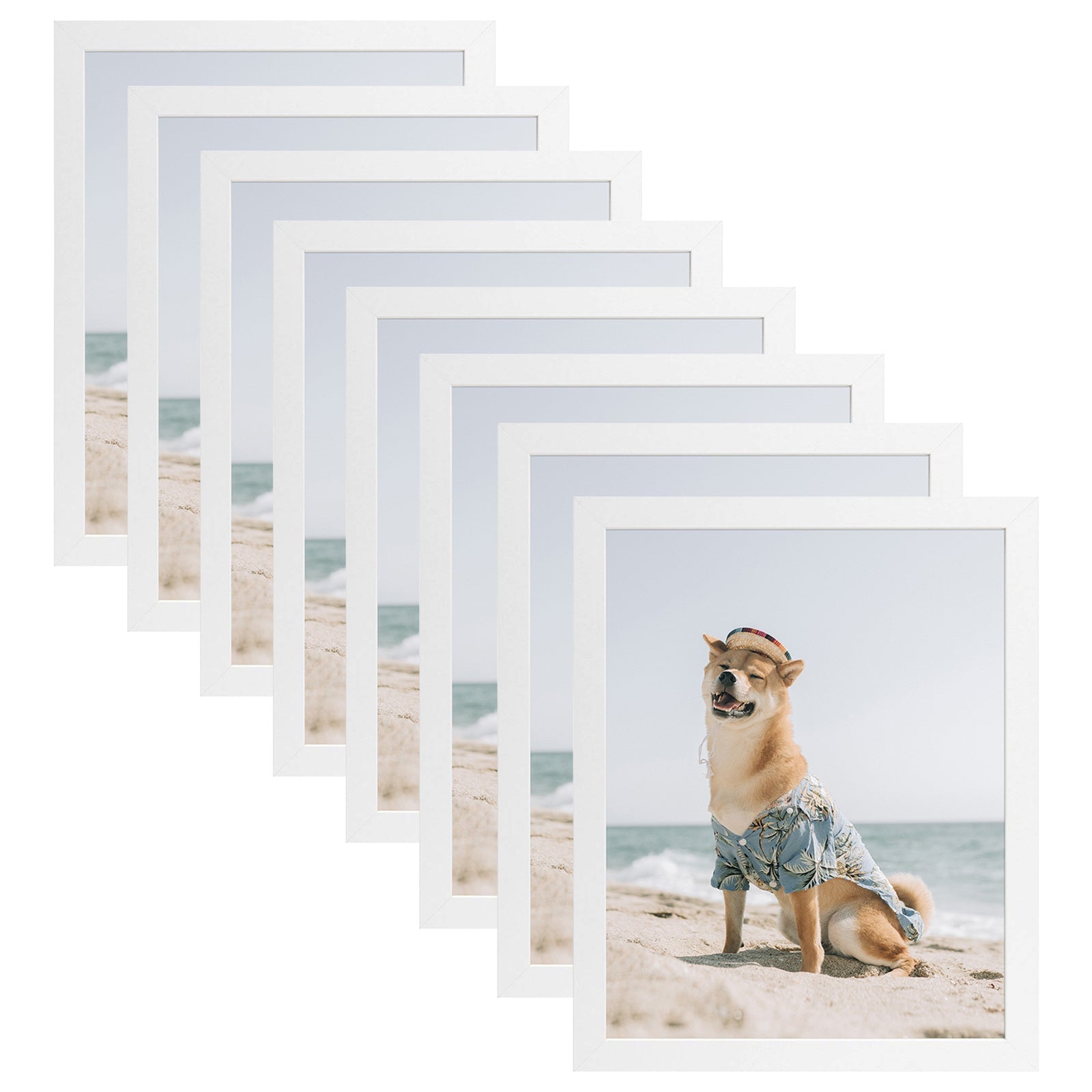 11x14 Picture Frame for 8x10 Photo with Ivory Mat and Real Glass (8 Pack) White Picture Frame GSA