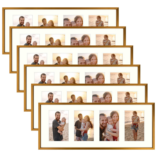 8x20 Matted to 4x6/Bronze