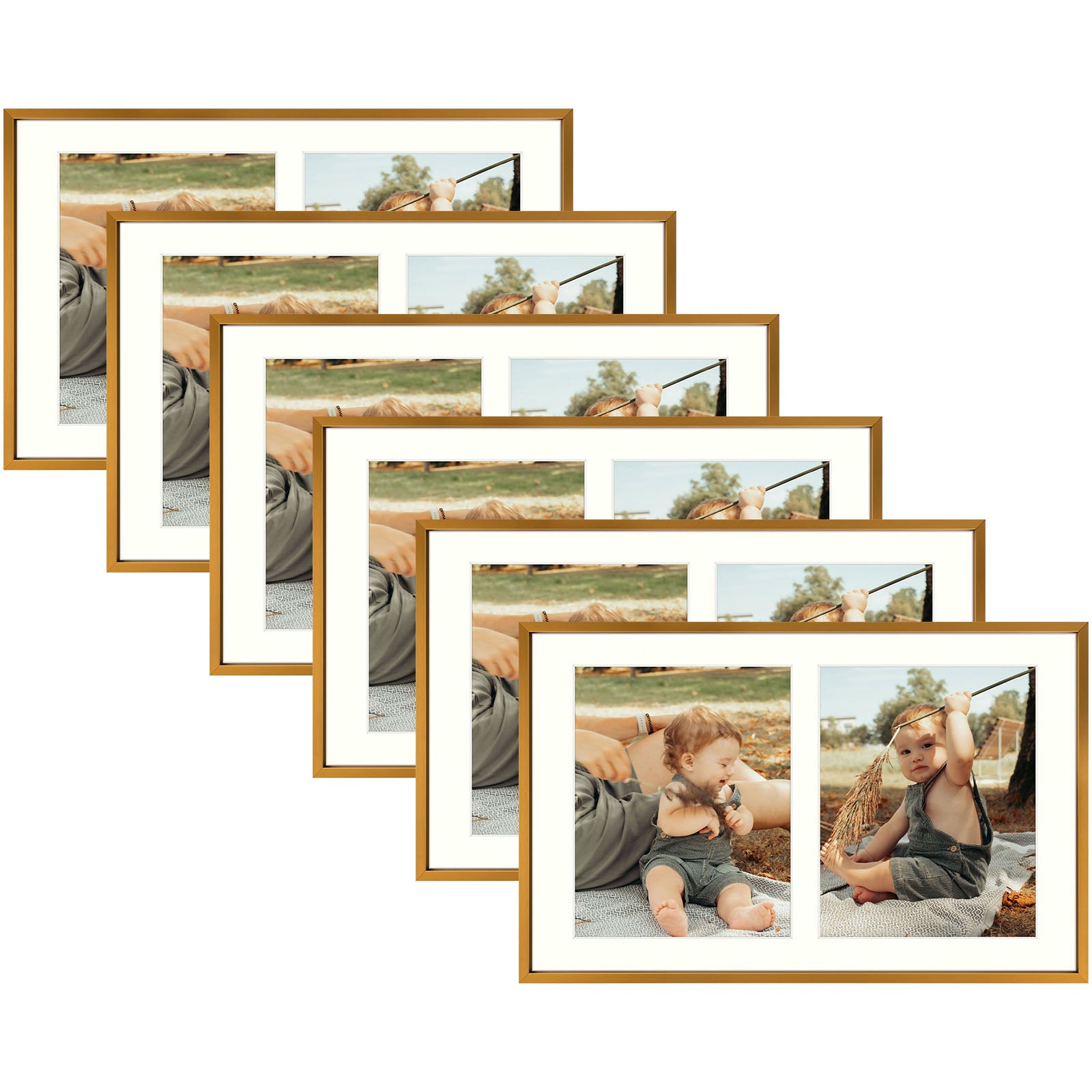 6 Pack/12x19 Matted to 8x10/Bronze
