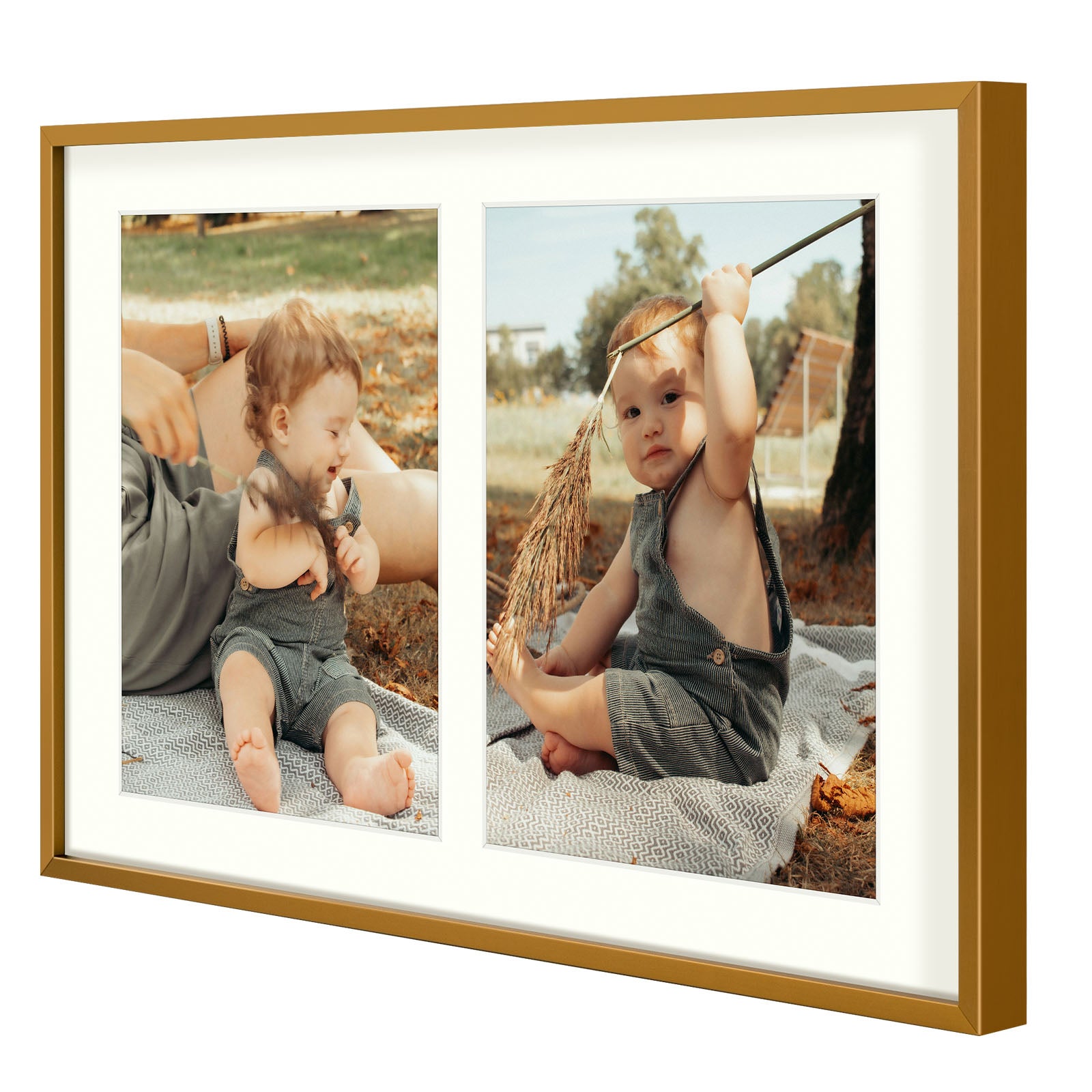 6 Pack/12x19 Matted to 8x10/Bronze