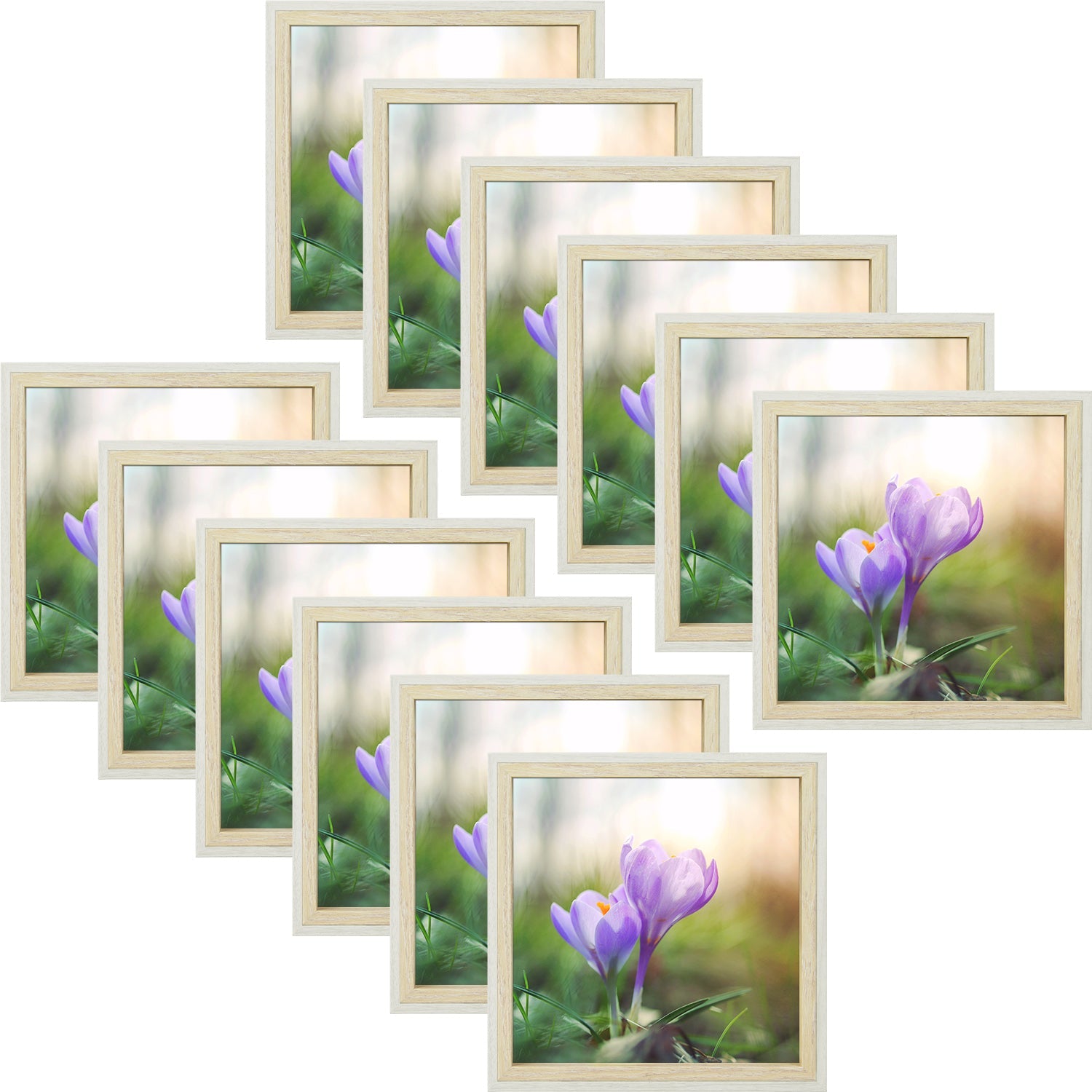 MDF Picture Frame with Real Glass(12 Pack) 8x8 White & Beige Picture Frame Golden State Art