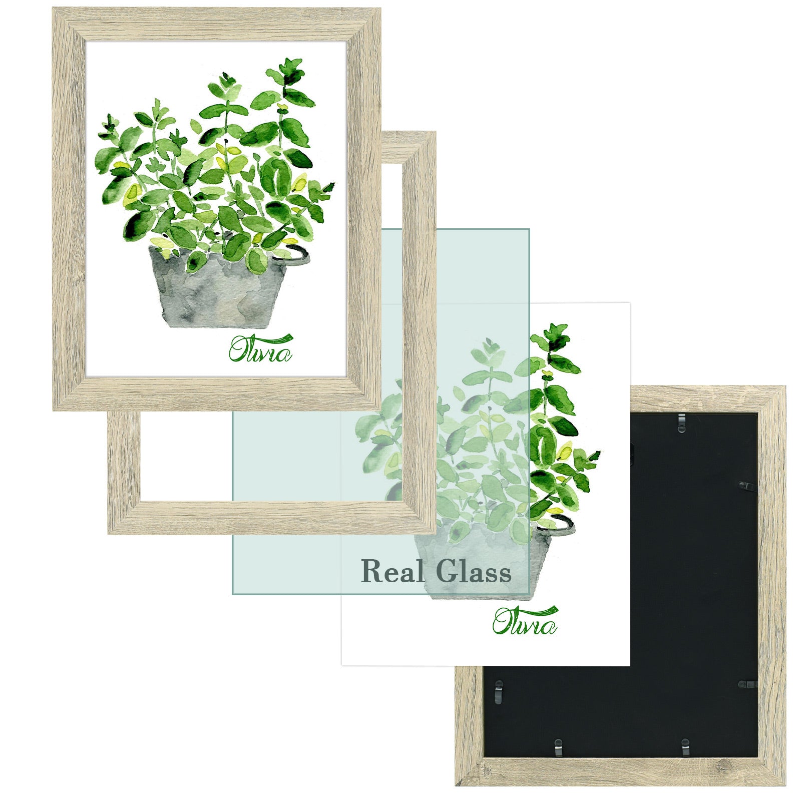 11x14 Picture Frame with Real Glass (10 Pack) Picture Frame GSA