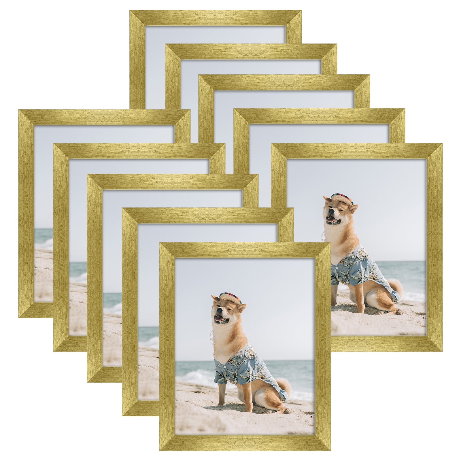 8x10 Picture Frame for 5x7 Photo with Ivory Mat and Real Glass (10 Pack) Picture Frame GSA