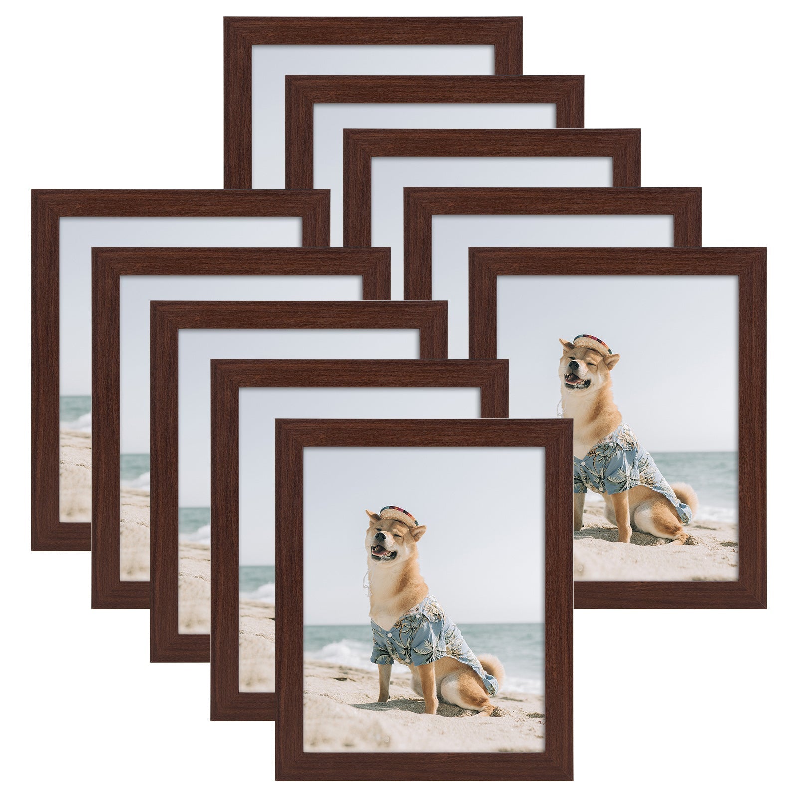 8x10 Picture Frame for 5x7 Photo with Ivory Mat and Real Glass (10 Pack) Picture Frame GSA