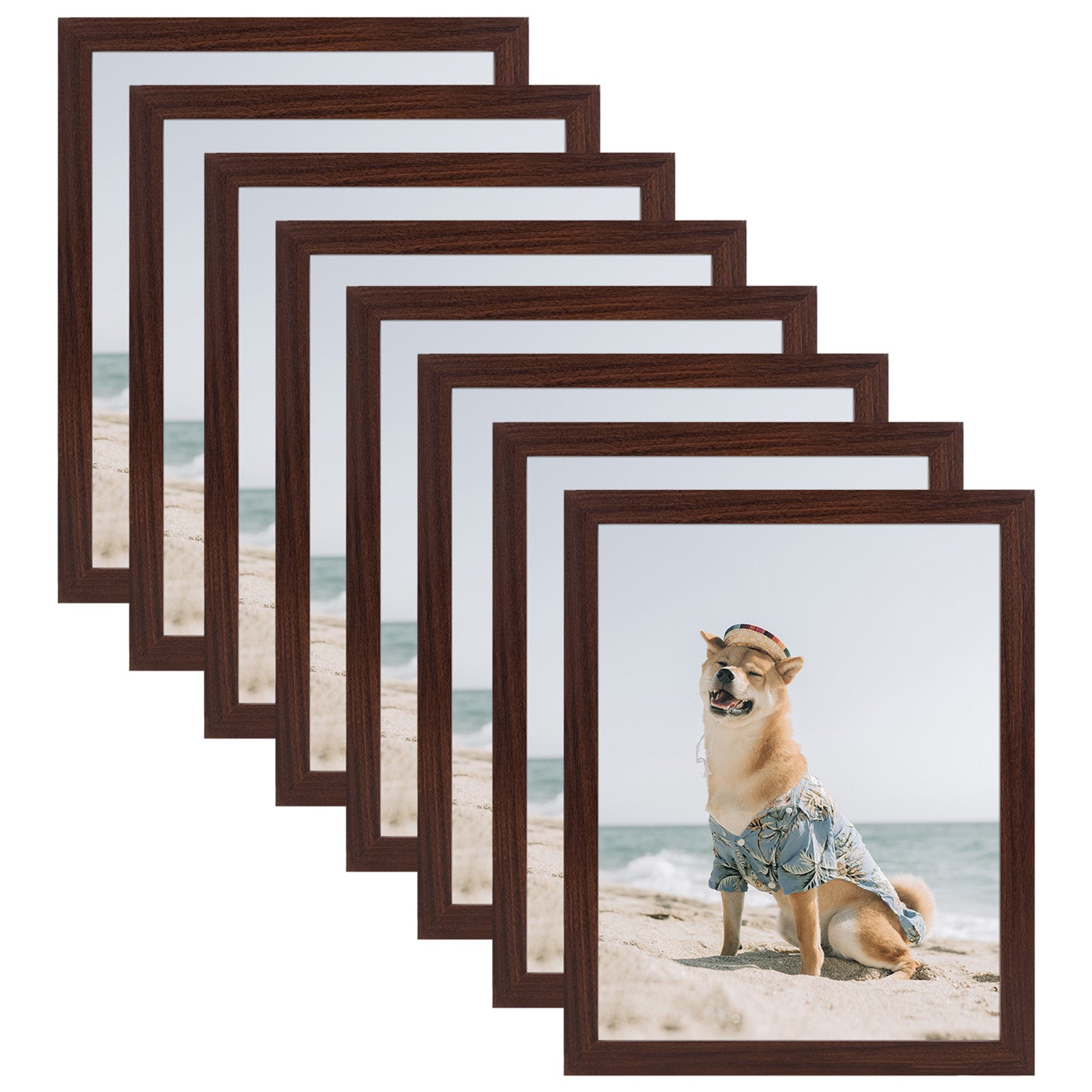 11x14 Picture Frame for 8x10 Photo with Ivory Mat and Real Glass (8 Pack) Walnut Picture Frame GSA