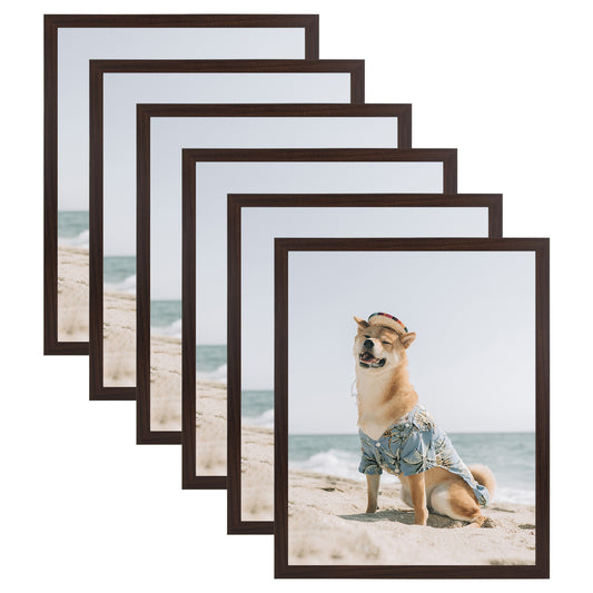 16x20 Picture Frame for 11x14 Photo with Ivory Mat and Real Glass (6 Pack) Picture Frame Golden State Art