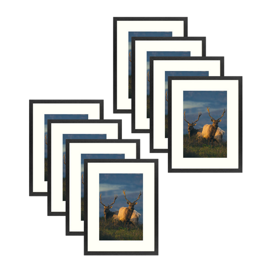 BOGO 12x16 MDF Frame 1.3 Inch for 8x12 Picture - Pack of 8