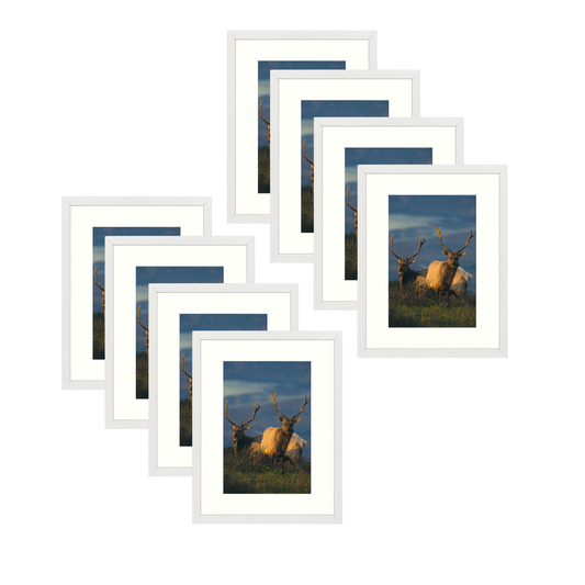 BOGO 12x16 MDF Frame 1.3 Inch for 8x12 Picture - Pack of 8