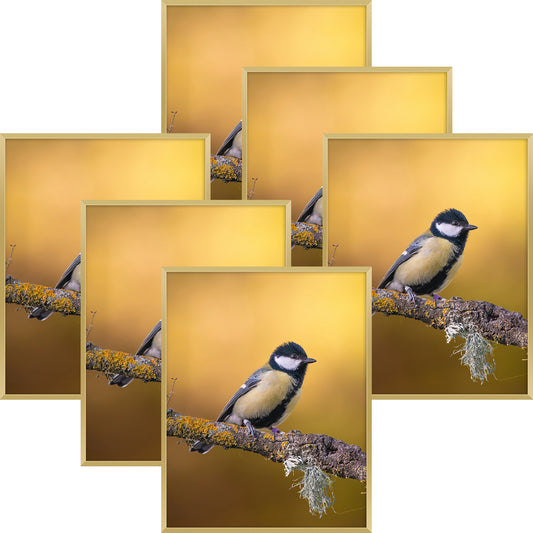 Clearance Aluminum Picture frames, Poster Frames with Plexi-glass-Pack of 6