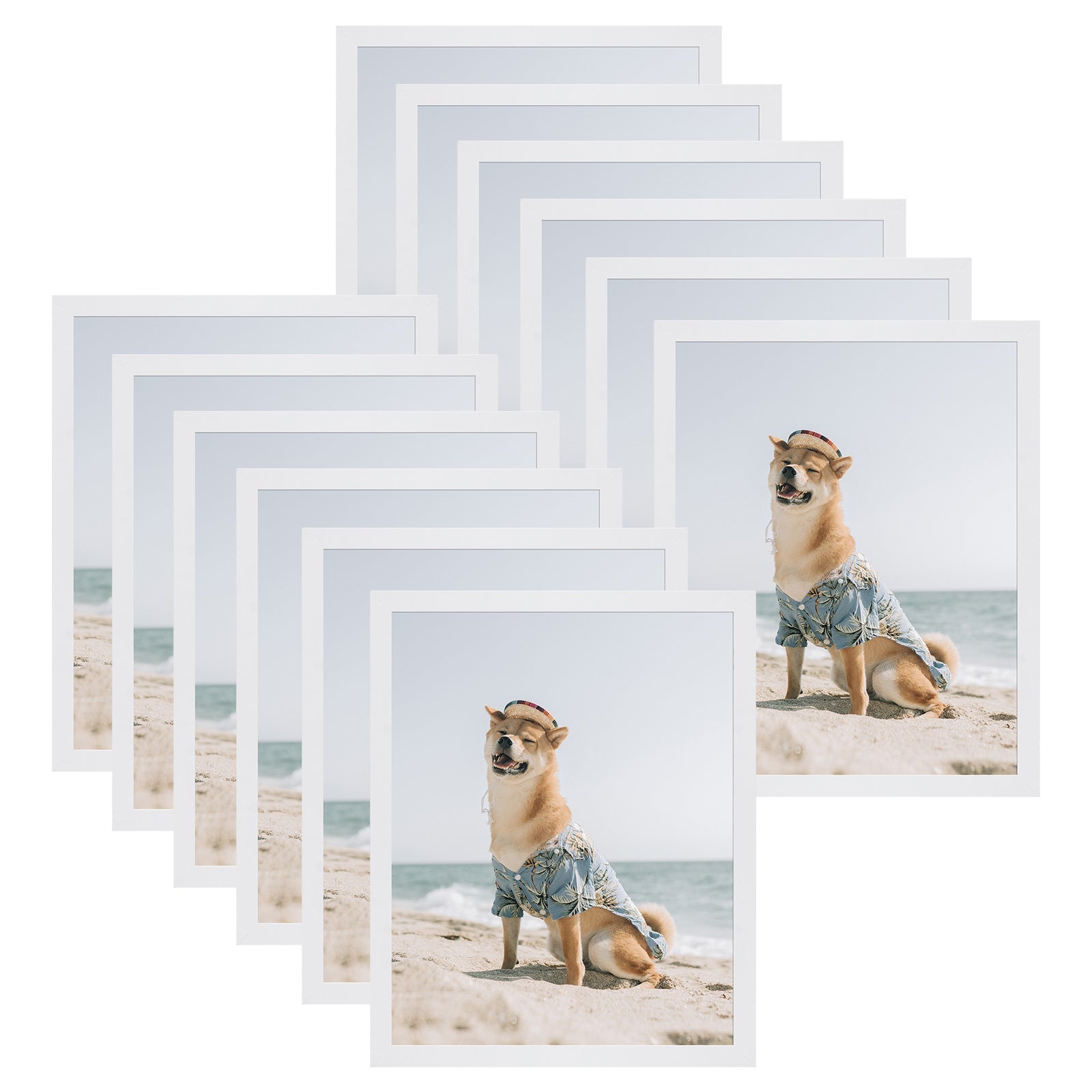 11x14 Picture Frame for 8x10 Photo with Ivory Mat and Real Glass (12 Pack) White Picture Frame Golden State Art