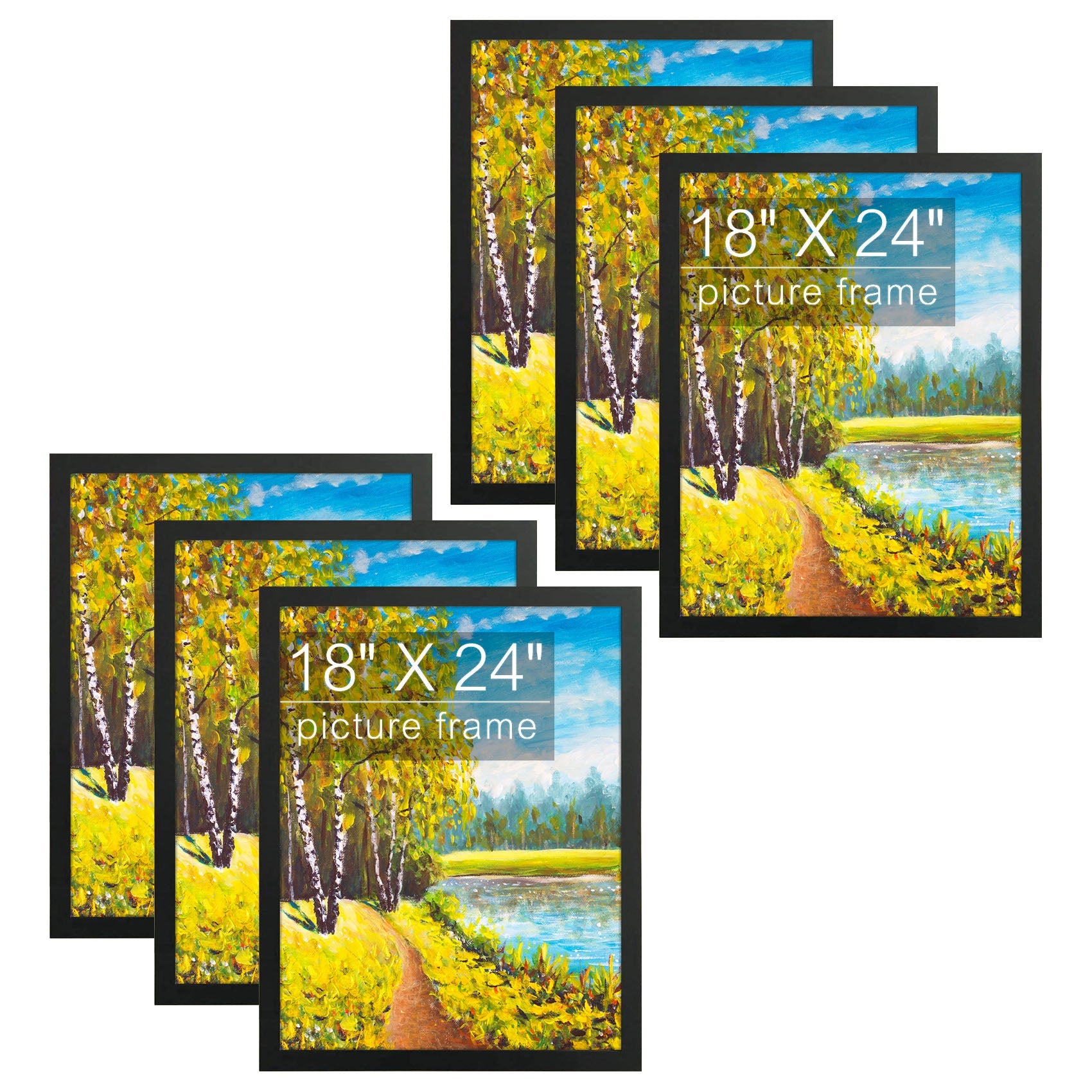 Poster Frame with Acrylic Glass (6 Pack) 18X24 Black Picture Frame GSA