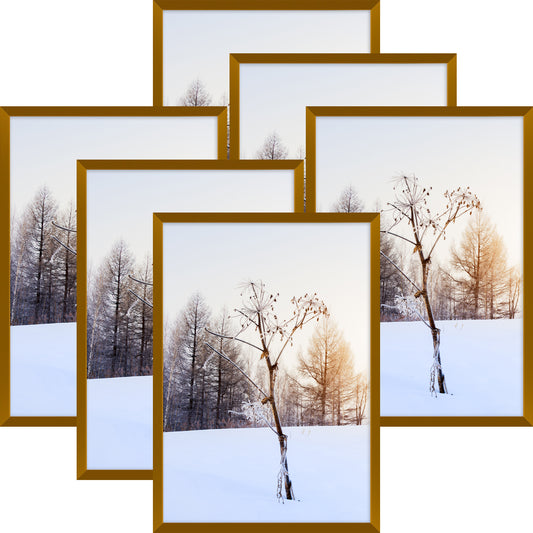 Aluminum Picture frames, Poster Frames with Plexi-glass