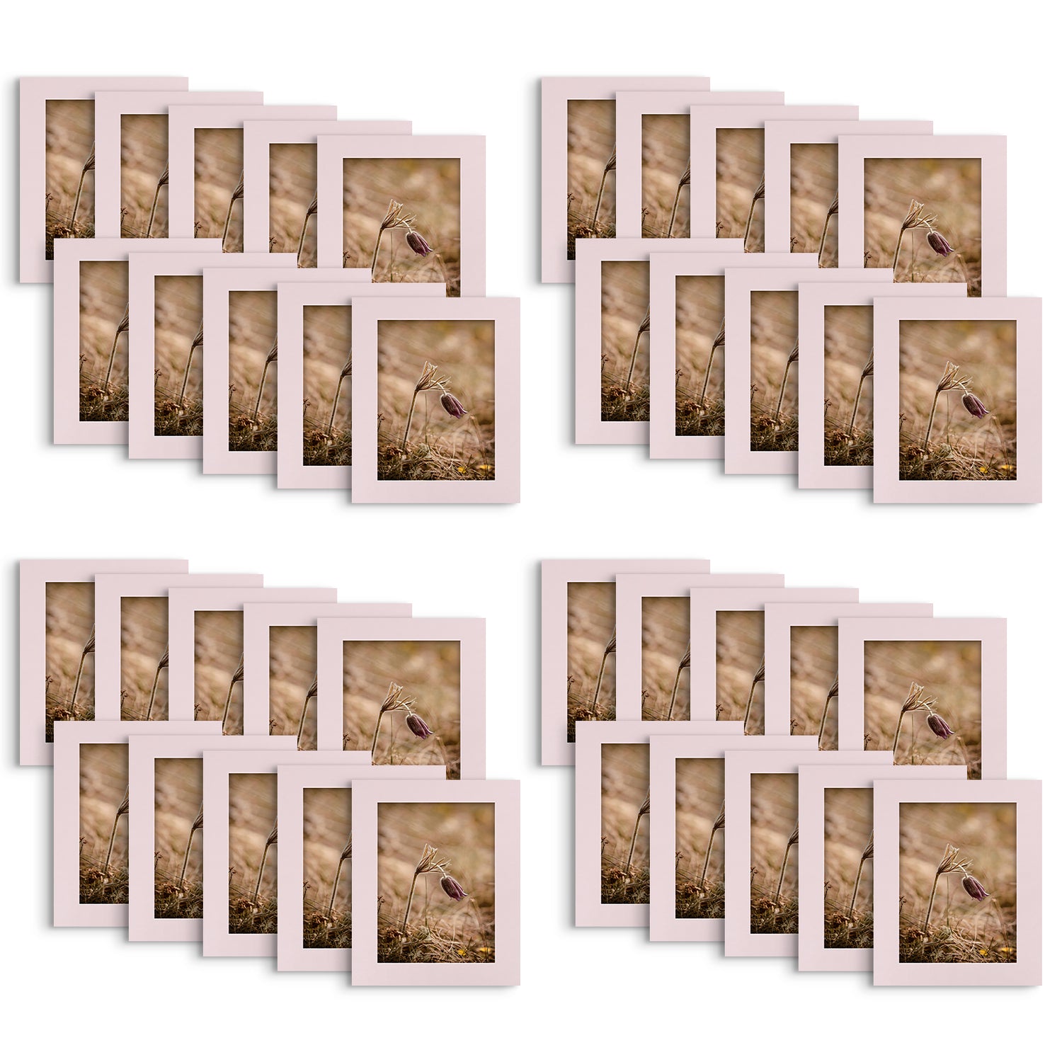 Picture Frames Size 4x6