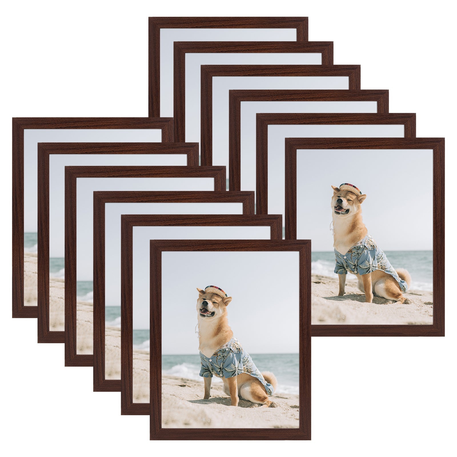 11x14 Picture Frame for 8x10 Photo with Ivory Mat and Real Glass (12 Pack) Walnut Picture Frame Golden State Art