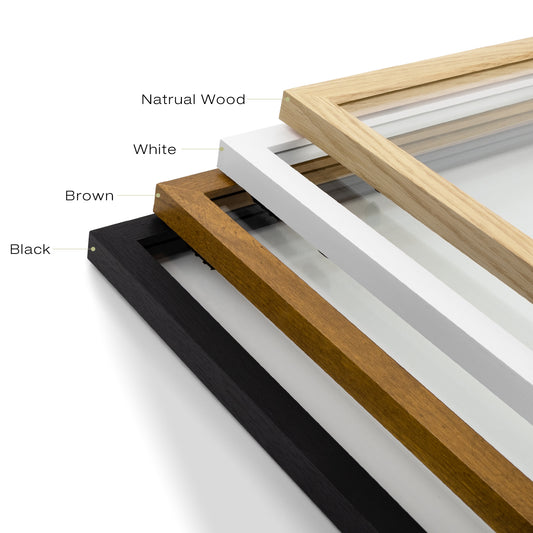 Golden State Art, Solid Wood Floating Picture Frame ¨C 8.5x11, 11x14, 12x16 with Real Glass