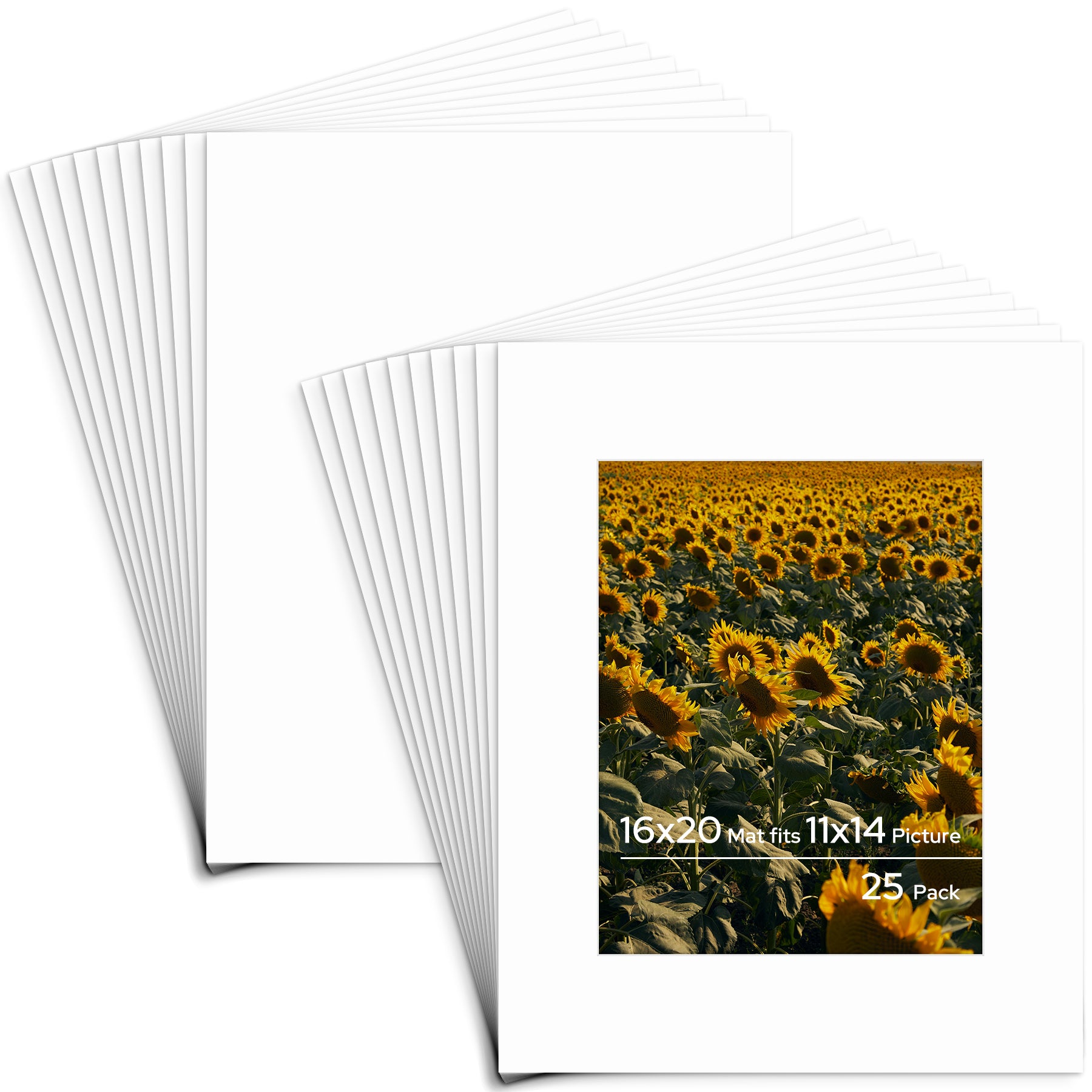 Golden State Art, 16x20 Custom Cut Conservation Archival Mat with Whitecore