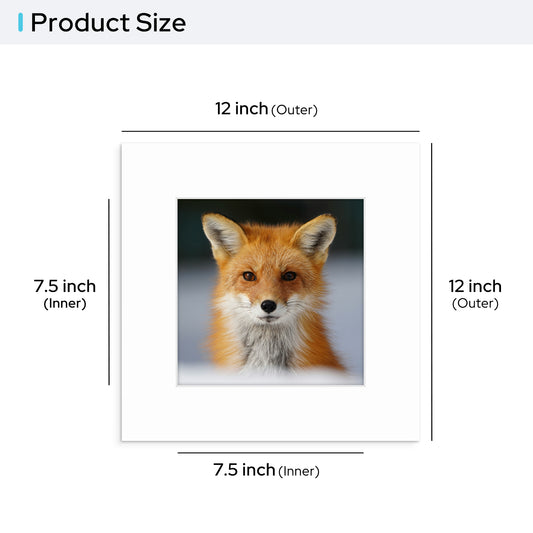 12x12 Pre-cut Mat with Whitecore fits 8x8 Picture Bulk Pack