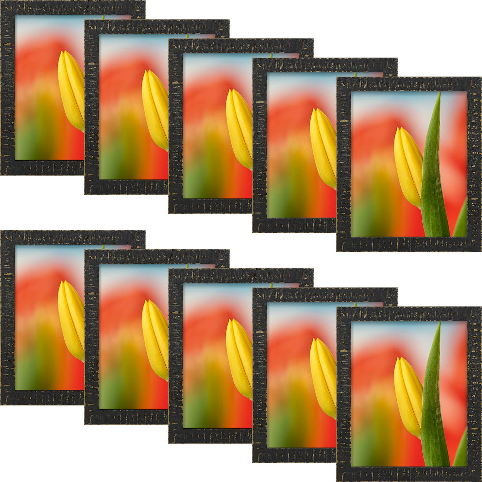 8x10