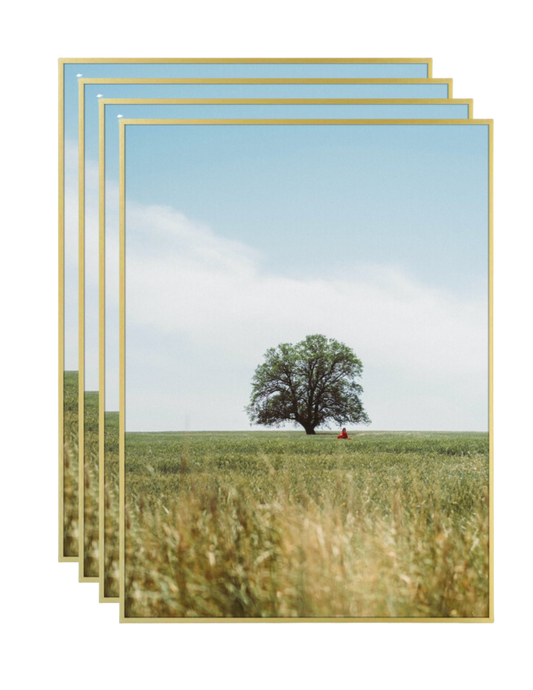 BOGO 18x24 Gold Aluminum Poster Frame 0.83 Inch - Pack of 4