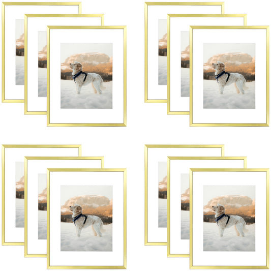 12 Pack/11x14 Matted to 8x10/Gold