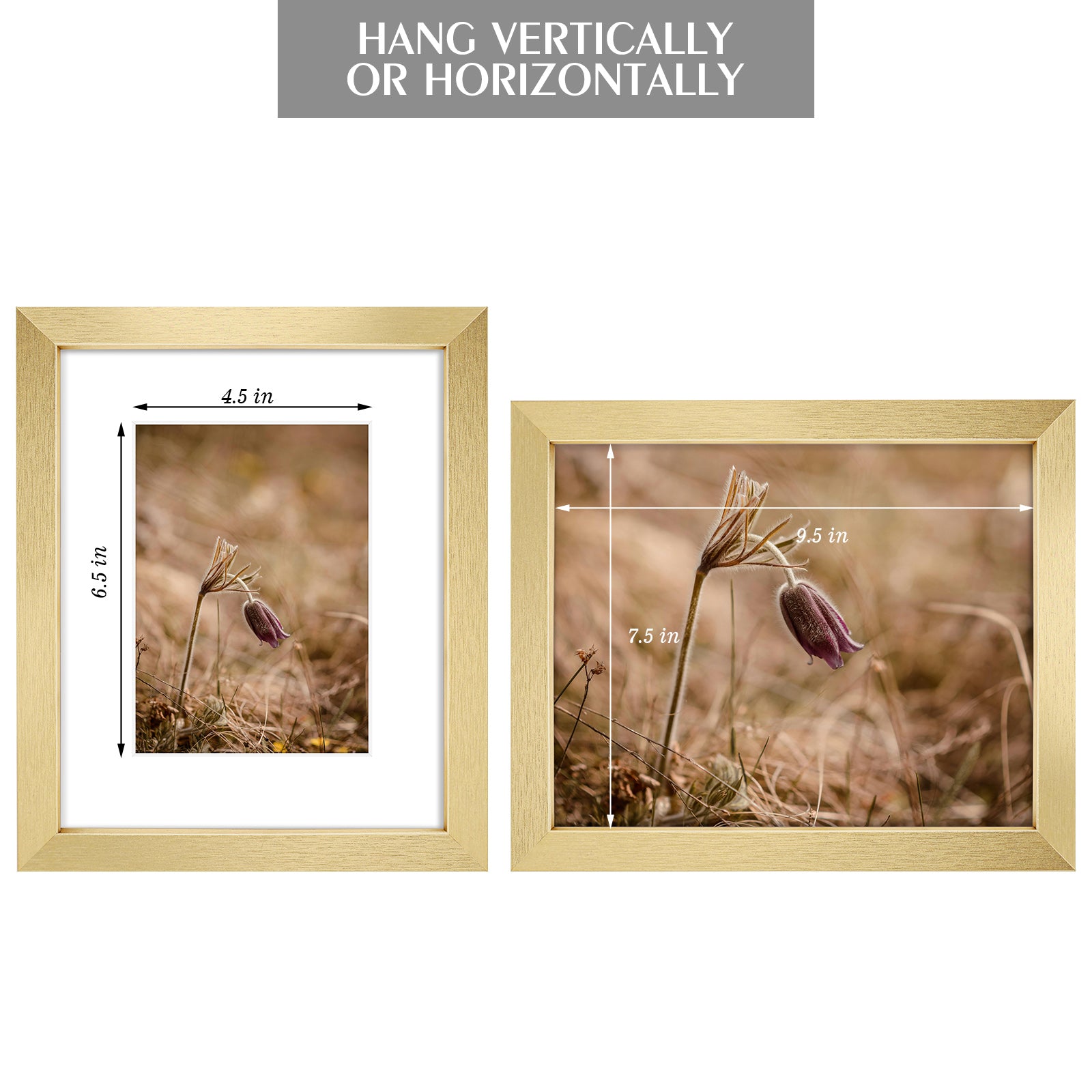 Golden State Art 8x10 Composite Wood Picture Frames with Acrylic Glass ¨C Set of 18, Removable Mat Included
