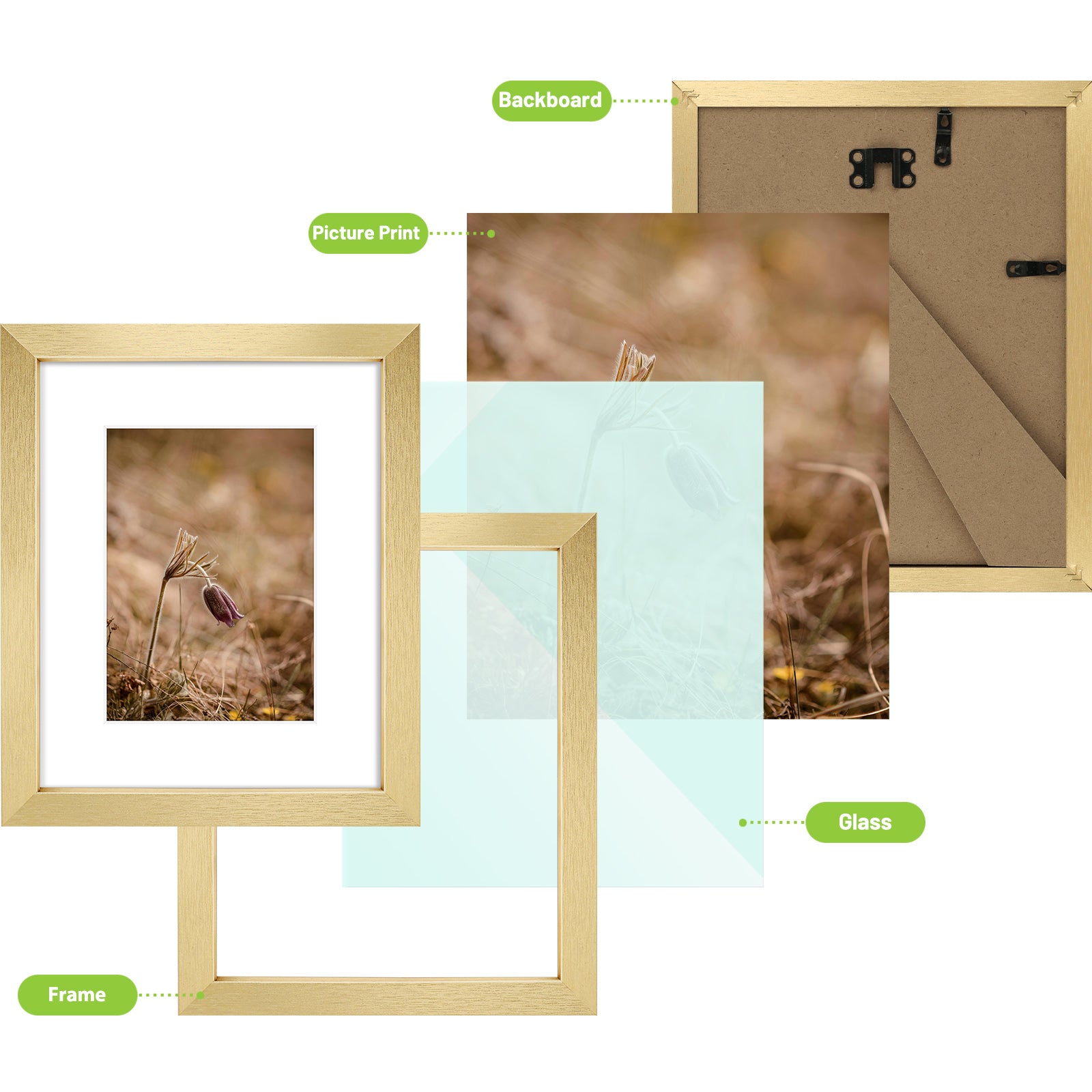 Golden State Art 8x10 Composite Wood Picture Frames with Acrylic Glass ¨C Set of 18, Removable Mat Included