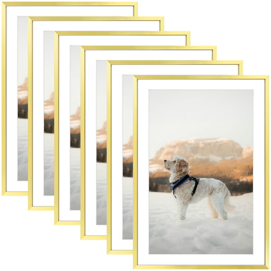 Clearance 13x19 Picture Frame with White Mat for 11x17 Photo-Pack Of 6