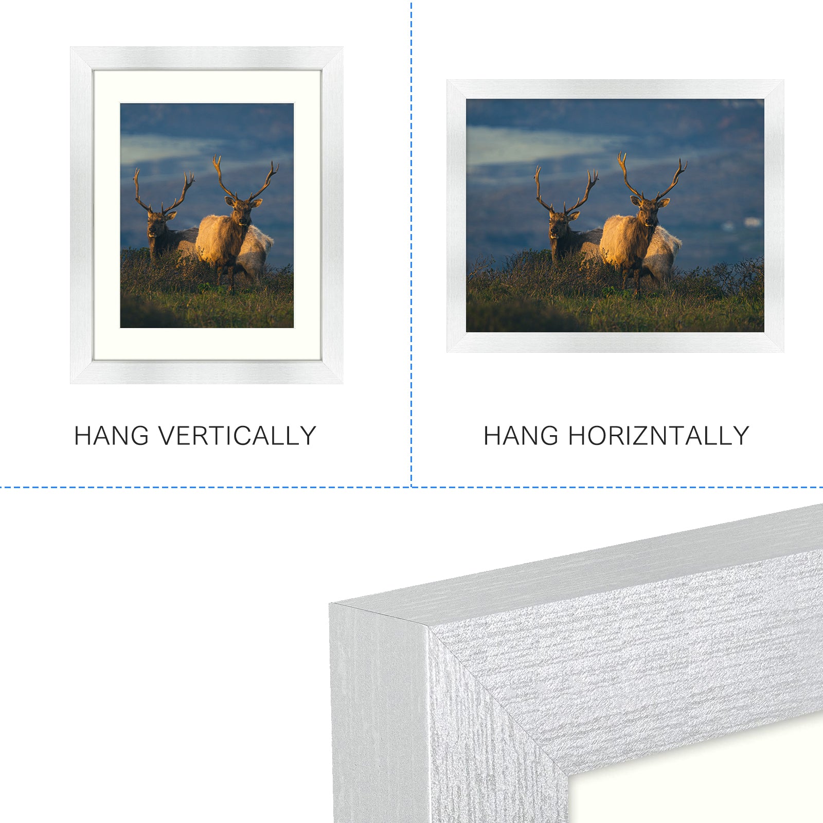 11x14 Document Frame - Displays 8.5x11 with Mat or 11x14 Inch Without Mat for Wall Mounting (12 Pack) Golden State Art