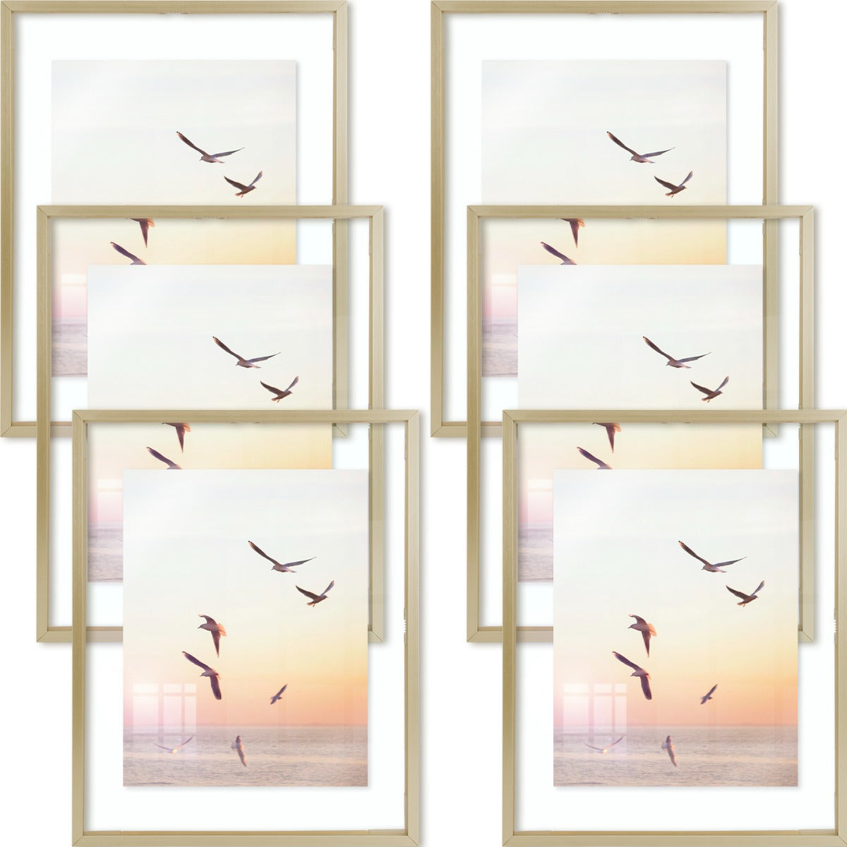 Aluminum Picture Frames Floating Frame, Clear Glass Displays for Wall or Table Top Decoration 6 Pack 11x14 Gold Picture Frame Golden State Art