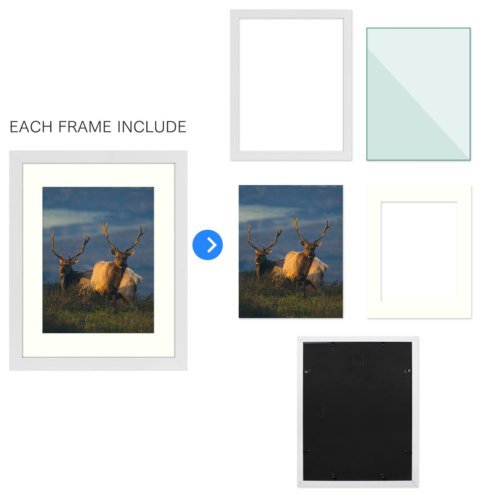 11x14 Certificate Frame - Displays 8.5x11 with White Mat or 11x14 Inch Without Mat for Wall Mounting (8 Pack) Golden State Art